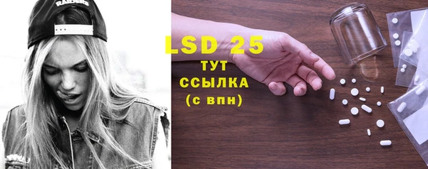 винт Верея