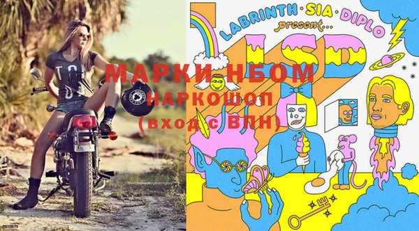 СК Бронницы