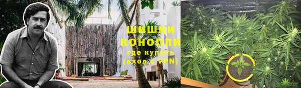 СК Бронницы